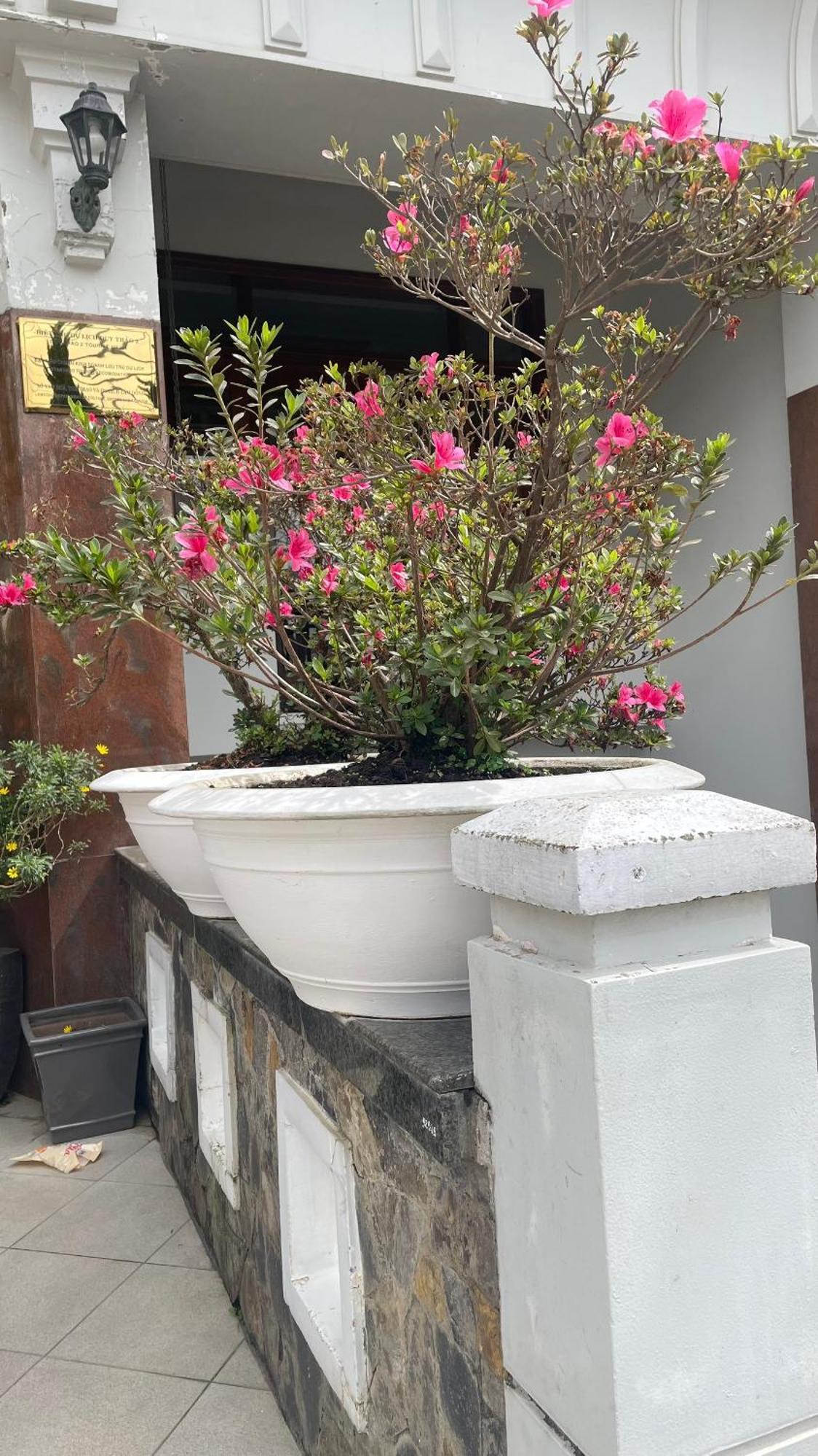 Duy Thao 2 Hotel Dalat Exterior foto